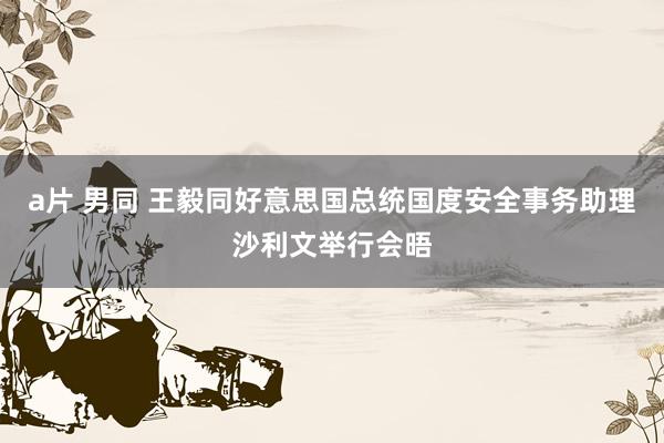 a片 男同 王毅同好意思国总统国度安全事务助理沙利文举行会晤