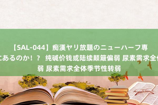 【SAL-044】痴漢ヤリ放題のニューハーフ専用車は本当にあるのか!? 纯碱价钱或陆续颠簸偏弱 尿素需求全体季节性转弱