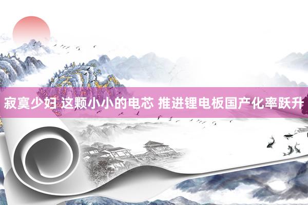 寂寞少妇 这颗小小的电芯 推进锂电板国产化率跃升