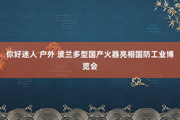你好迷人 户外 波兰多型国产火器亮相国防工业博览会