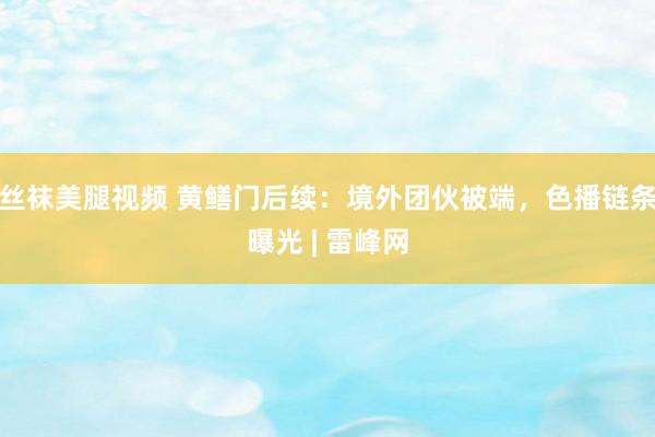丝袜美腿视频 黄鳝门后续：境外团伙被端，色播链条曝光 | 雷峰网