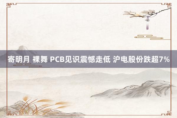 寄明月 裸舞 PCB见识震憾走低 沪电股份跌超7%