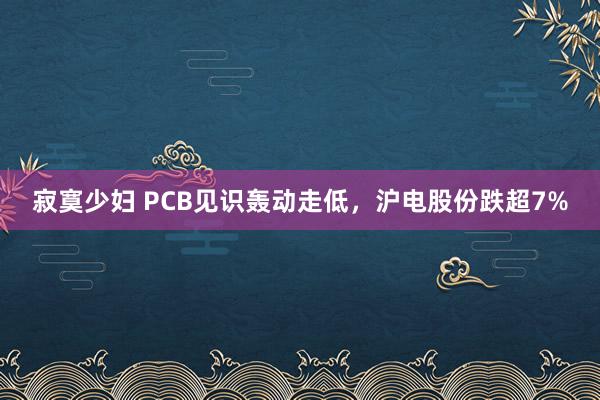 寂寞少妇 PCB见识轰动走低，沪电股份跌超7%