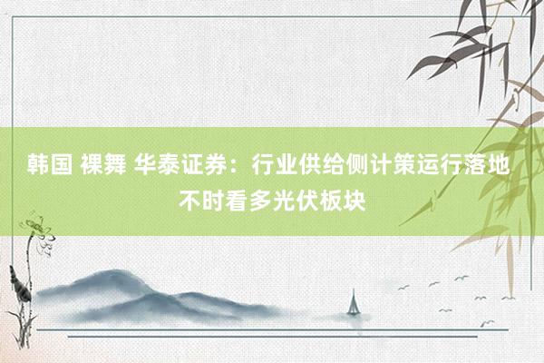 韩国 裸舞 华泰证券:行业供给侧计策运行落地 不时看多光伏板块