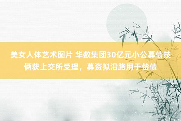 美女人体艺术图片 华数集团30亿元小公募债技俩获上交所受理，募资拟沿路用于偿债