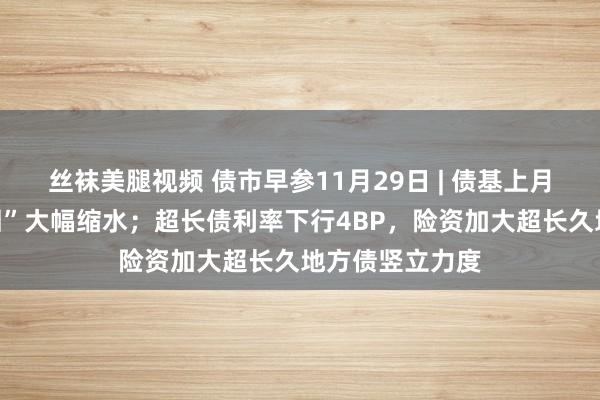 丝袜美腿视频 债市早参11月29日 | 债基上月遭“一键式赎回”大幅缩水；超长债利率下行4BP，险资加大超长久地方债竖立力度
