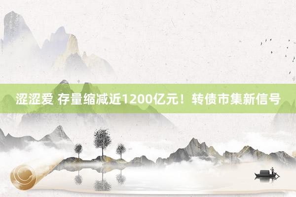 涩涩爱 存量缩减近1200亿元！转债市集新信号