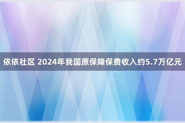 依依社区 2024年我国原保障保费收入约5.7万亿元