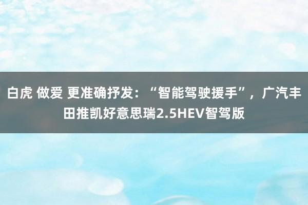 白虎 做爱 更准确抒发：“智能驾驶援手”，广汽丰田推凯好意思瑞2.5HEV智驾版